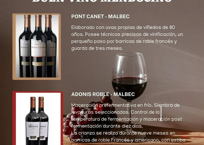 Cielo Andino Malbec -Centrico-