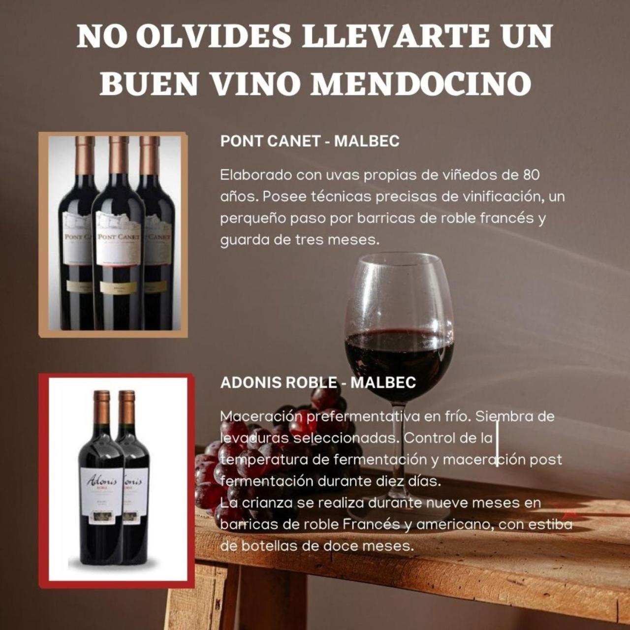 Apartment Cielo Andino Malbec -centrico- *